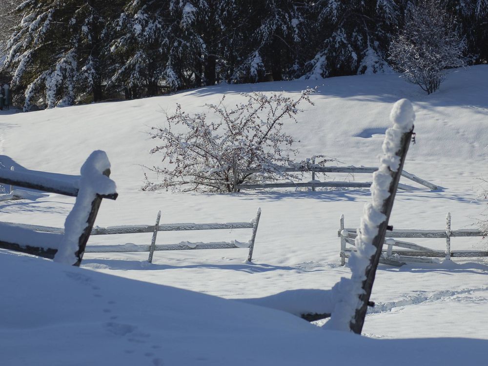Bath Maine under a blanket of snow. Smithsonian Photo Contest