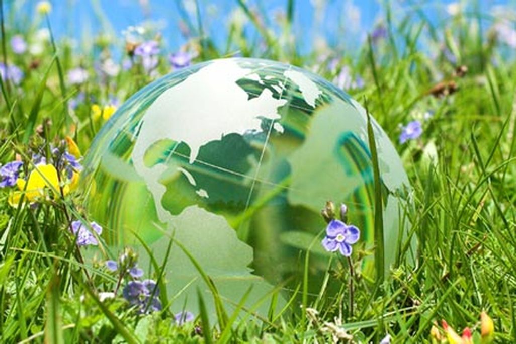 greener-living-631.jpg