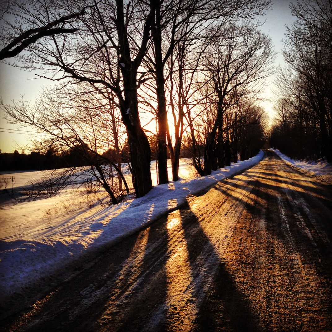 We were driving along this tree lined road in Mount Holly, VT after a