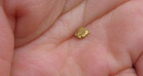 The dream of a gold miner—a nugget so big it can be handled like a small marble.