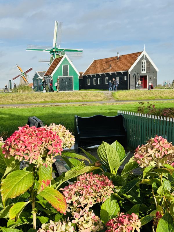 Windmill Village in Zaanse Schans thumbnail