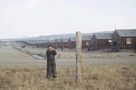 The Smithsonian&rsquo;s National Museum of American History, the National Park Service and the Heart Mountain Wyoming Foundation will mark the annual Day of Remembrance, with virtual programming from February 18 to 20, 2022, to explore the Japanese American community&#39;s struggle for recognition and redress.