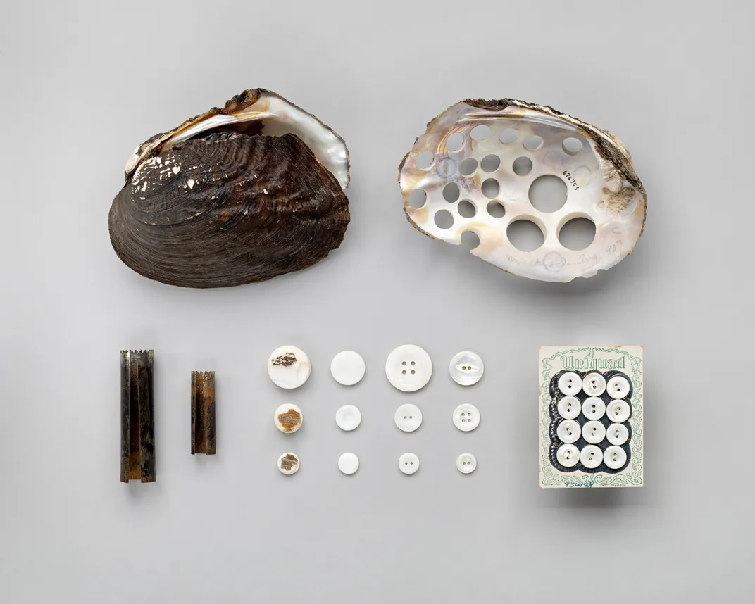 Mussels, drill bits and mother-of-pearl buttons