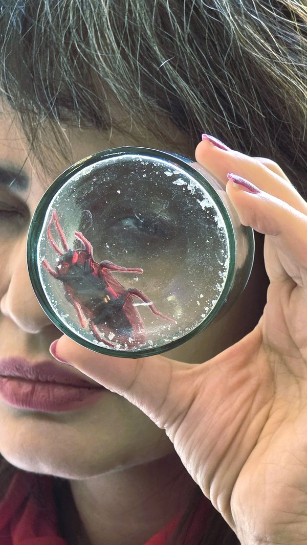 The Decisive Moment thumbnail