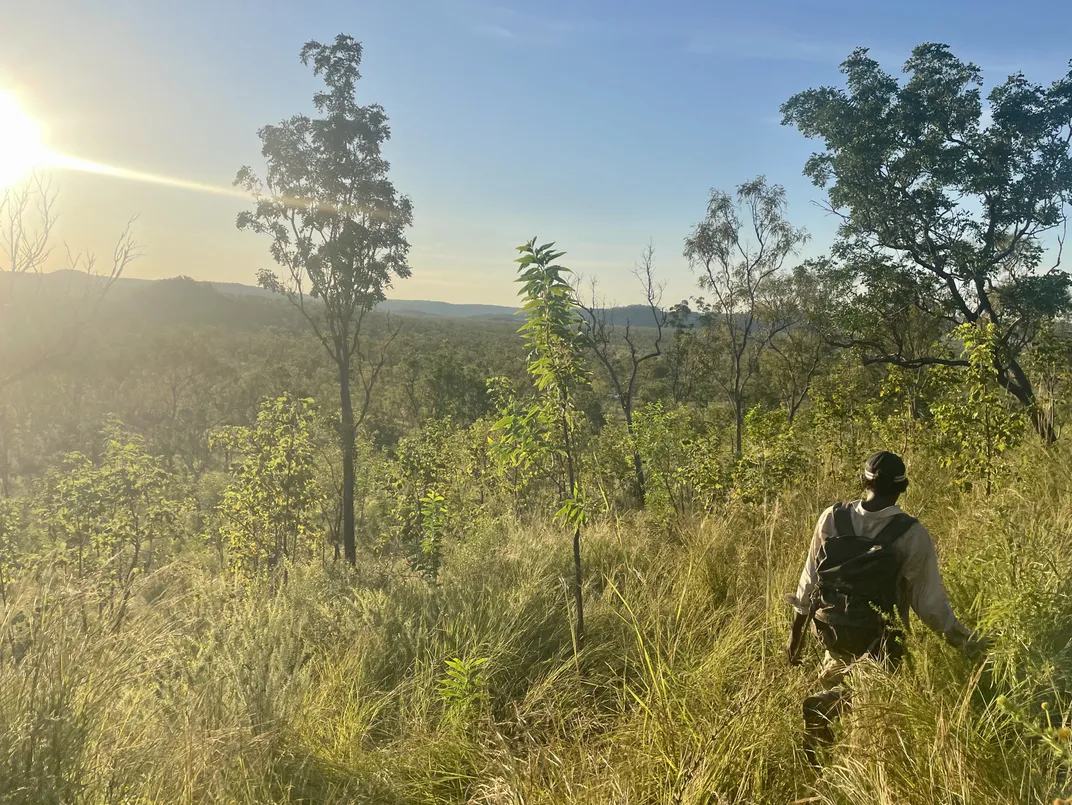 a man walks through tall grasses with sparse trees