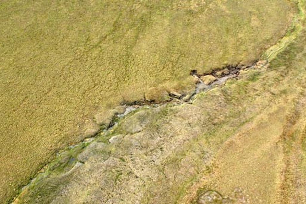 permafrost