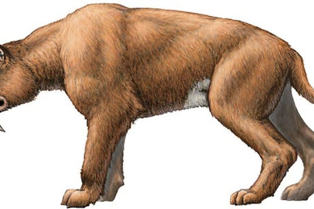 wildthings_main_dec07_631.jpg