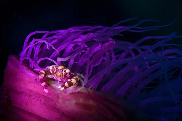 Living on the edge thumbnail