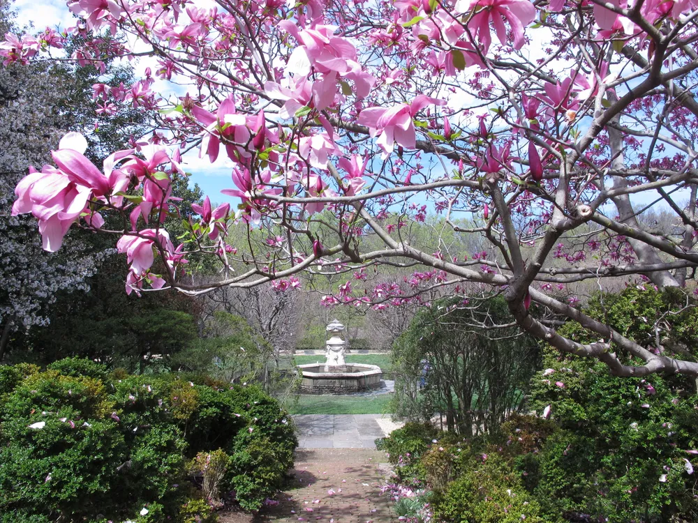 Dumbarton Oaks Garden