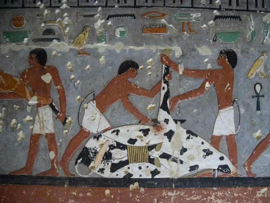 Ancient illustration of mummification