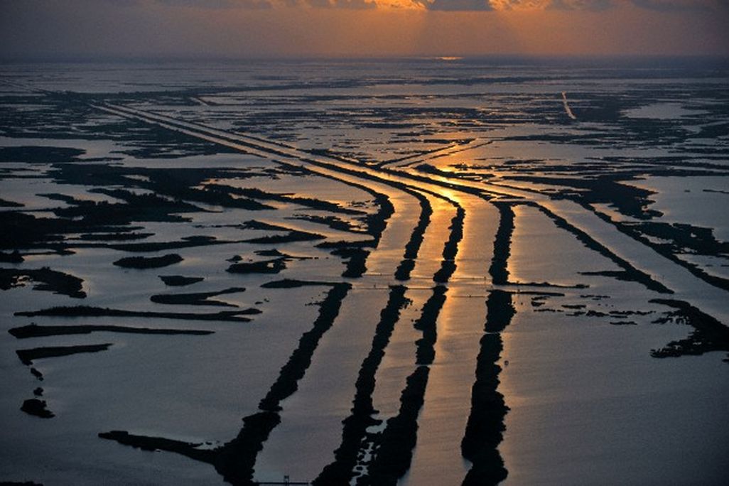 delta