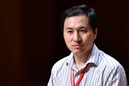 Chinese authorities found that He's team falsified regulatory paperwork.