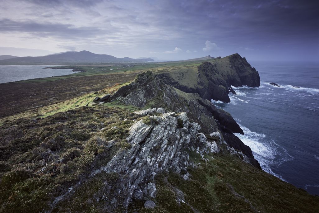 dingle-ireland-steves.jpg