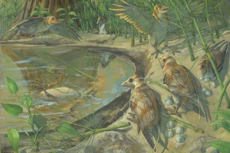 An illustration of what Avimaia schweitzerae and its nest may have looked like.