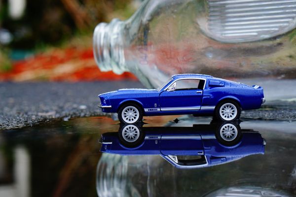 Mustang Reflection thumbnail