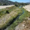 How the Arrival of an Endangered Bird Indicates What’s Possible for the L.A. River icon