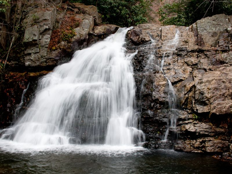 Hawk Falls Smithsonian Photo Contest Smithsonian Magazine
