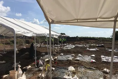 The historic cemetery where remains of 95 individuals, believed to be African American prisoners forced to work on a plantation, were discovered. 