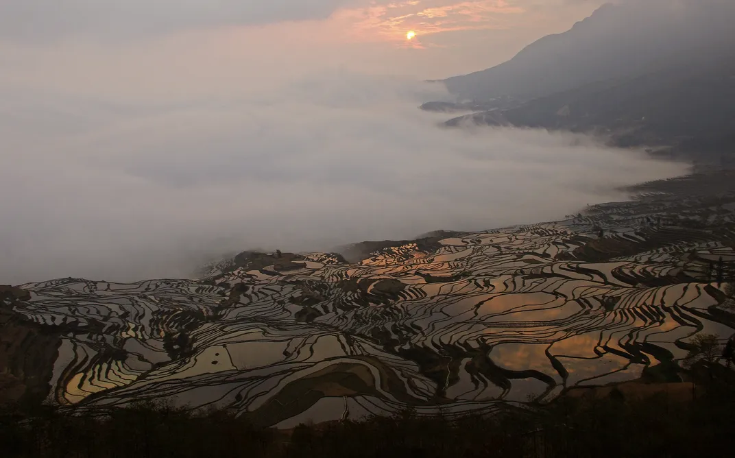 Yunnan's Rice Terraces at Sunrise | Smithsonian Photo Contest ...