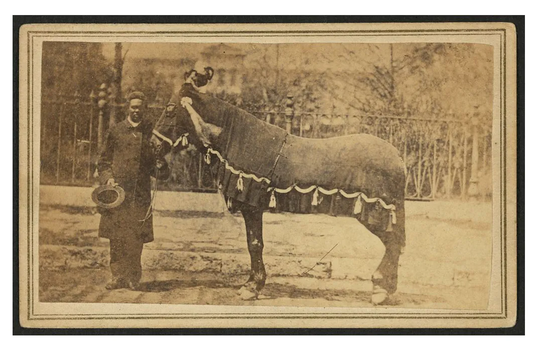 Lincoln's Horse