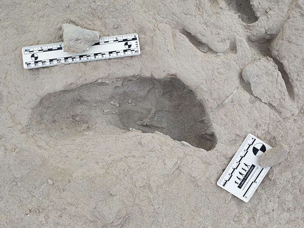 Footprints Reveal Two Early Human Species Walked the Same