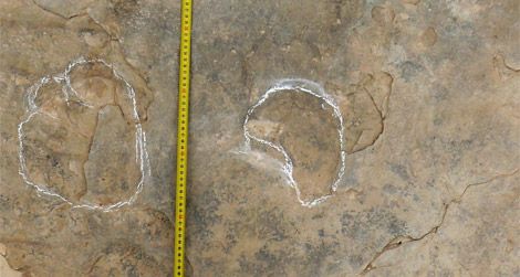 Part of a sauropod trackway from the Teruel, Spain tracksite