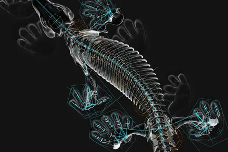 The species Orobates pabsti represents a group of animals that lived after the first animals to walk on land but before the evolution of modern lizards. 