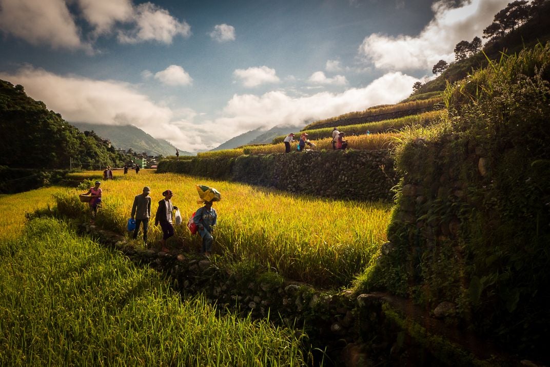 Another Farming Day Smithsonian Photo Contest Smithsonian Magazine