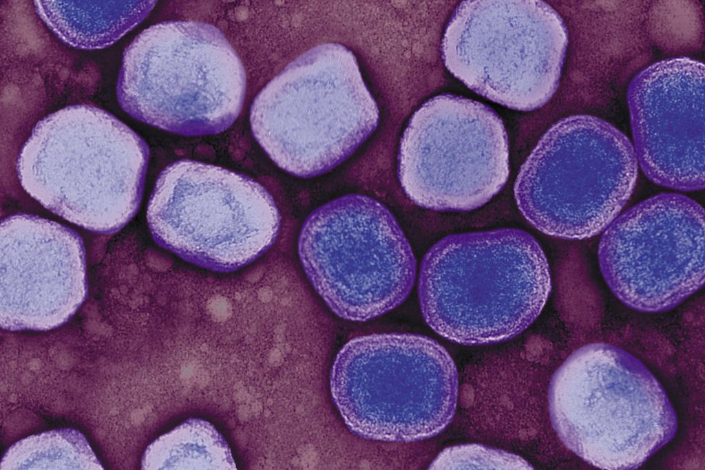 case of smallpox