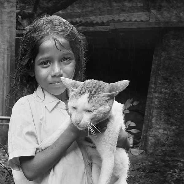 Kind Girl holding a Cat thumbnail