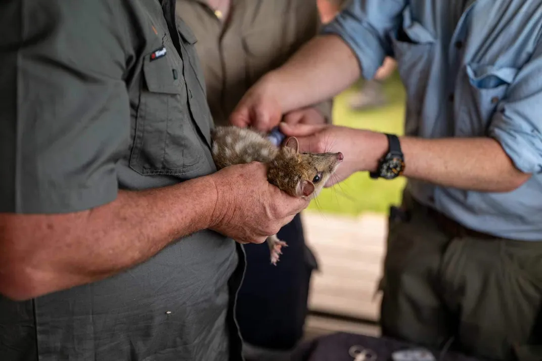 Small animal being held by two people