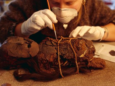 A mummified corpse of a Chinchoro girl between 4,000 and 8,000 years old gets a cleaning. 
