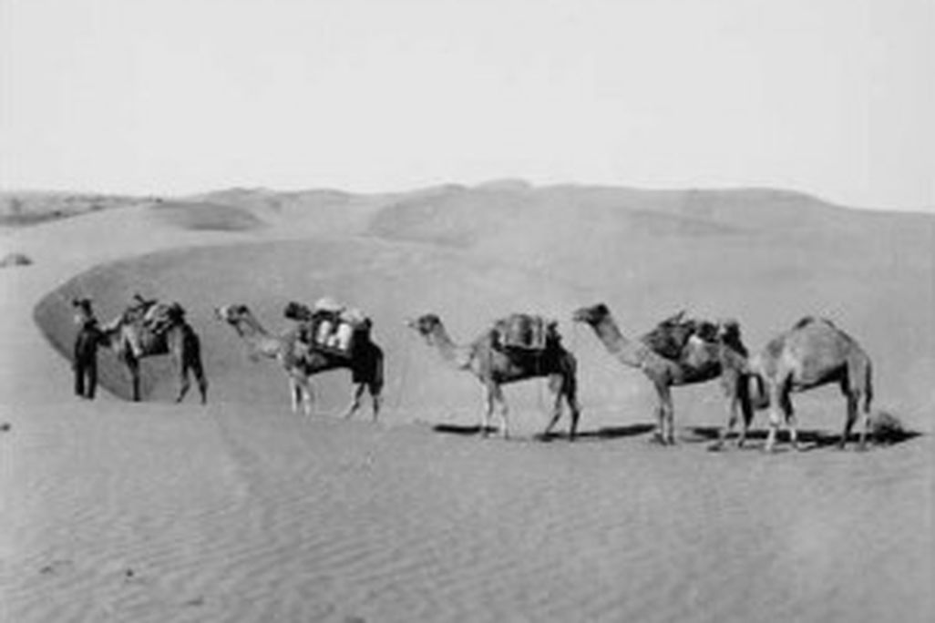 20110520102441B9113_22_simpson_desert-300x214.jpg