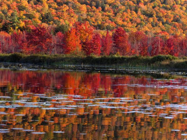 Fall in the Adirondacks thumbnail