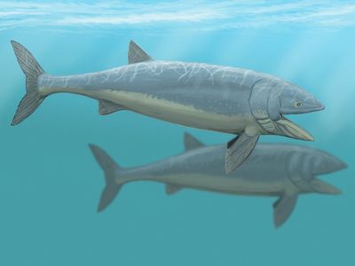 An artists rendition of the ancient leviathans.