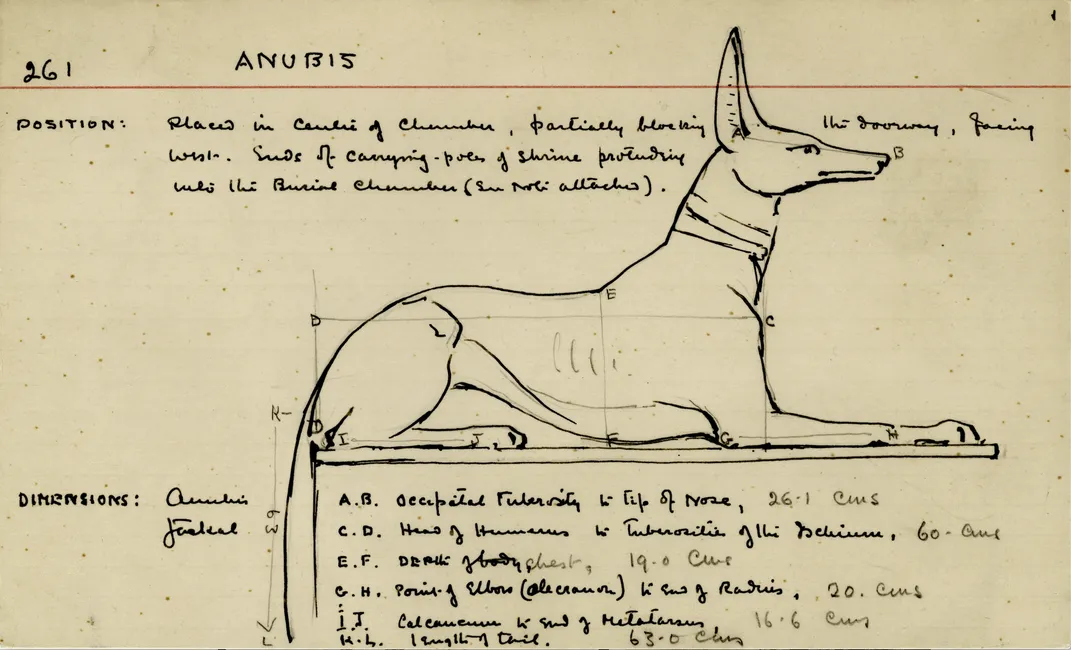 One of Howard Carter’s record cards showing his drawing of the jackal god Anubis, with notes and measurements