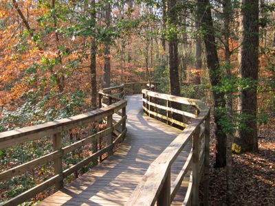 The Congaree National Park Visitor Center boardwalk 