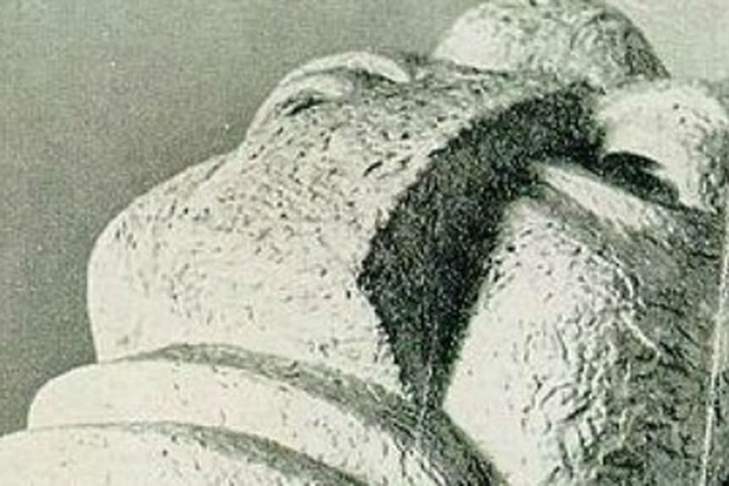 A poster for the Degenerate Art exhibit that ran in Munich’s Residenz in 1937