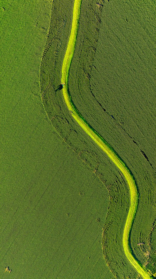 Aerial of corn field thumbnail
