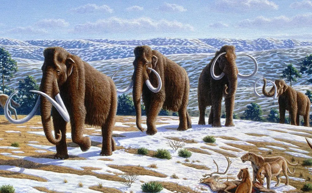 Illustration of woolly mammoths