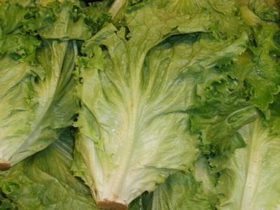 Romaine lettuce was recently affected by an E. coli outbreak