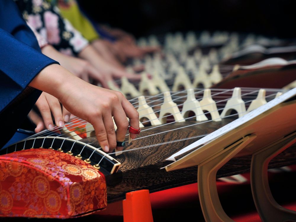 Koto performance 