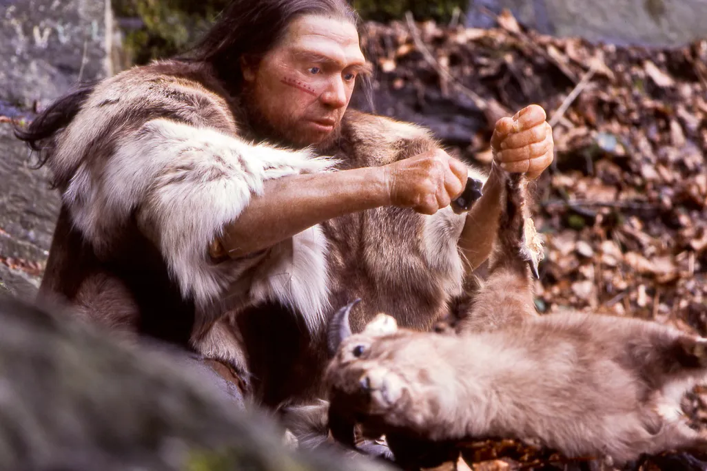 A Neanderthal figure