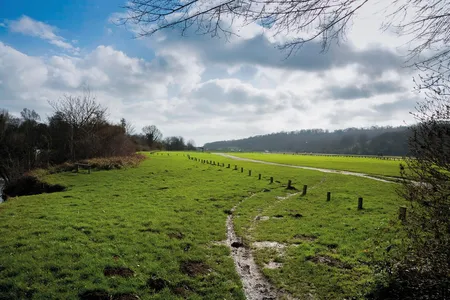 Runnymede meadow in Surrey, England, is the site of historic Magna Carta negotiations.