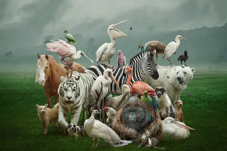 The goal of naming different species is to make sure scientific names are uniform across different fields and research labs.