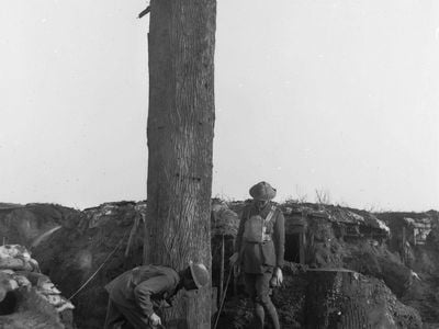 Two unidentified Australian officers examining a tree trunk which was used as an observation post at German House. The opening to the post is located at the base of the trunk. The color patches indicate the officers are members of the 3rd Division Army Services Corps. Note behind the post a dugout (center, right) and trenches.