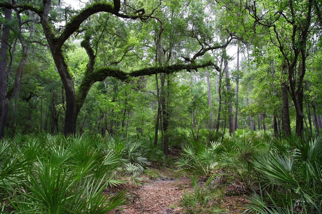 Why Florida’s Lower Suwannee Is an Outdoor Lover's Paradise