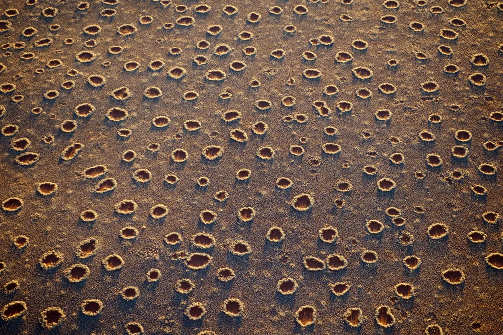 circles