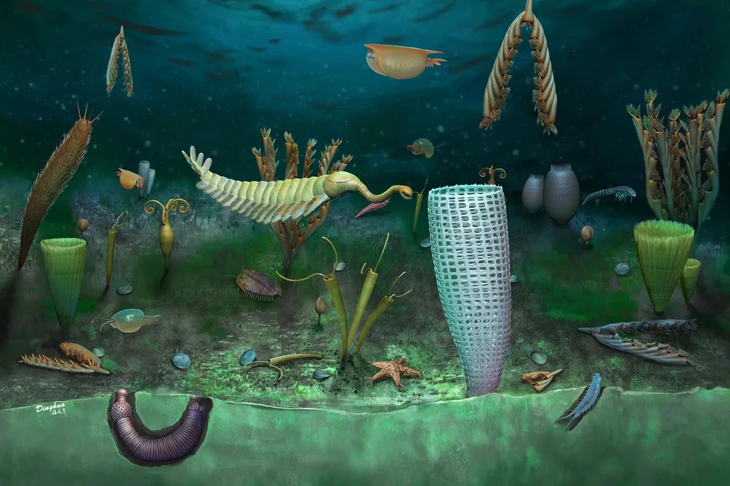 mix of modern and Cambrian sea life coexisting