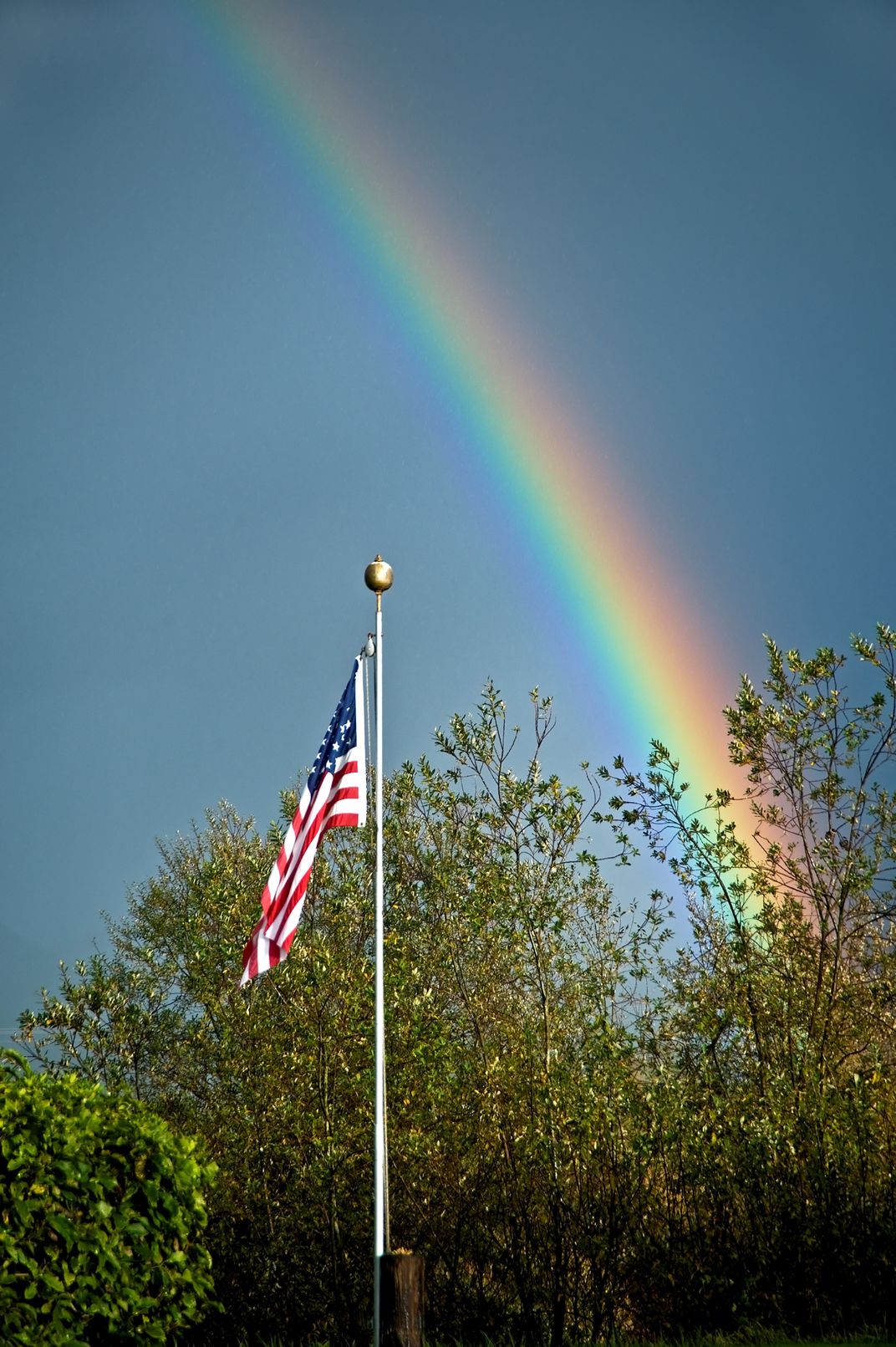 The Colors Of Freedom Smithsonian Photo Contest Smithsonian Magazine